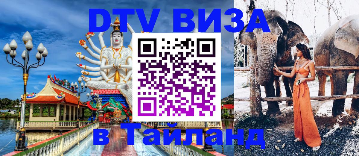 Сколько стоит DTV виза — актуальные цены, оформление даже без документов - Цхинвал 